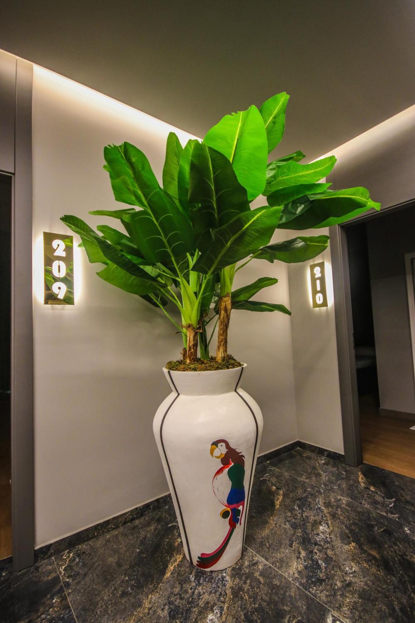 Atrium Mjull-Bethore